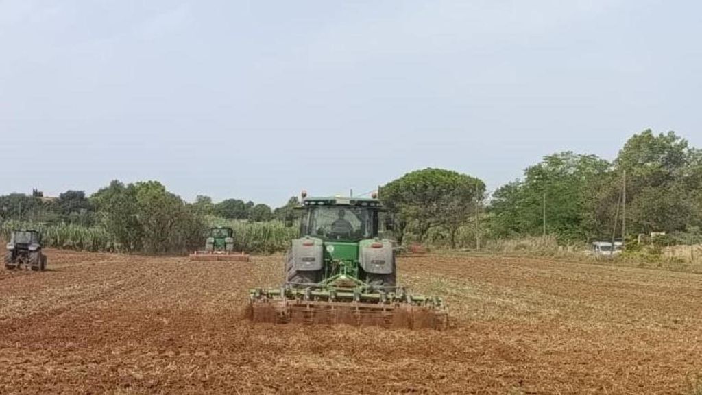 Muere un agricultor de 63 años: aplastado tras volcar el tractor que conducía en Silla, Valencia