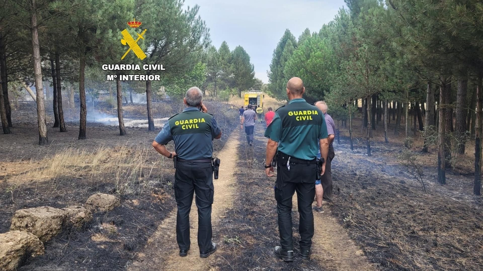 investigacion incendio forestal