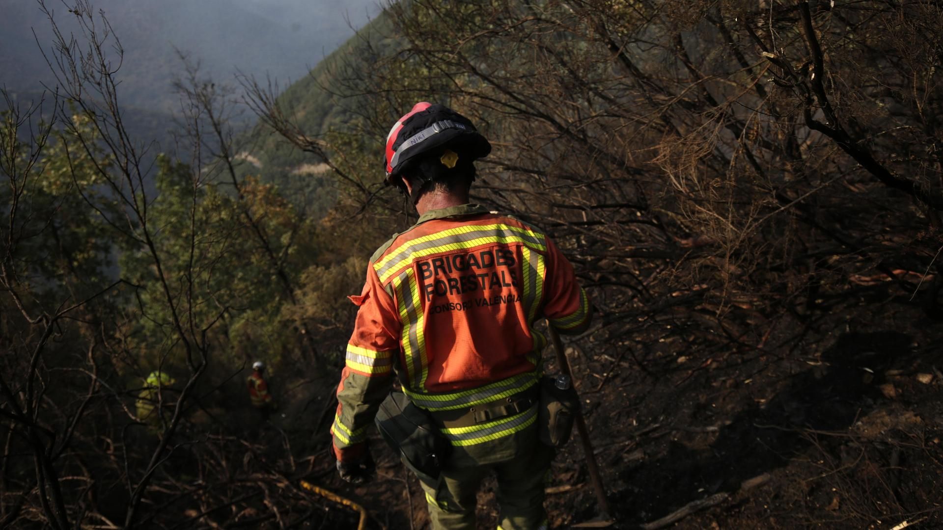 Las Brigadas forestales mantienen la huelga indefinida en Madrid tras una reunión "insuficiente" con la Comunidad y Tragsa