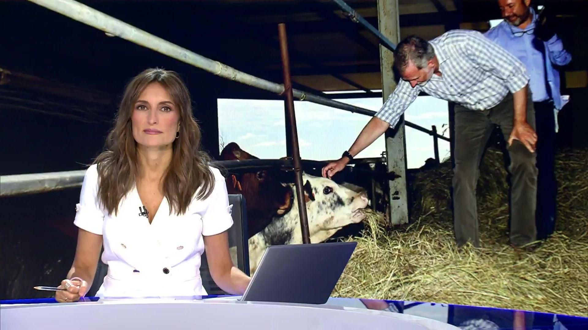 mitele 2025 08 28 22h12m38s503