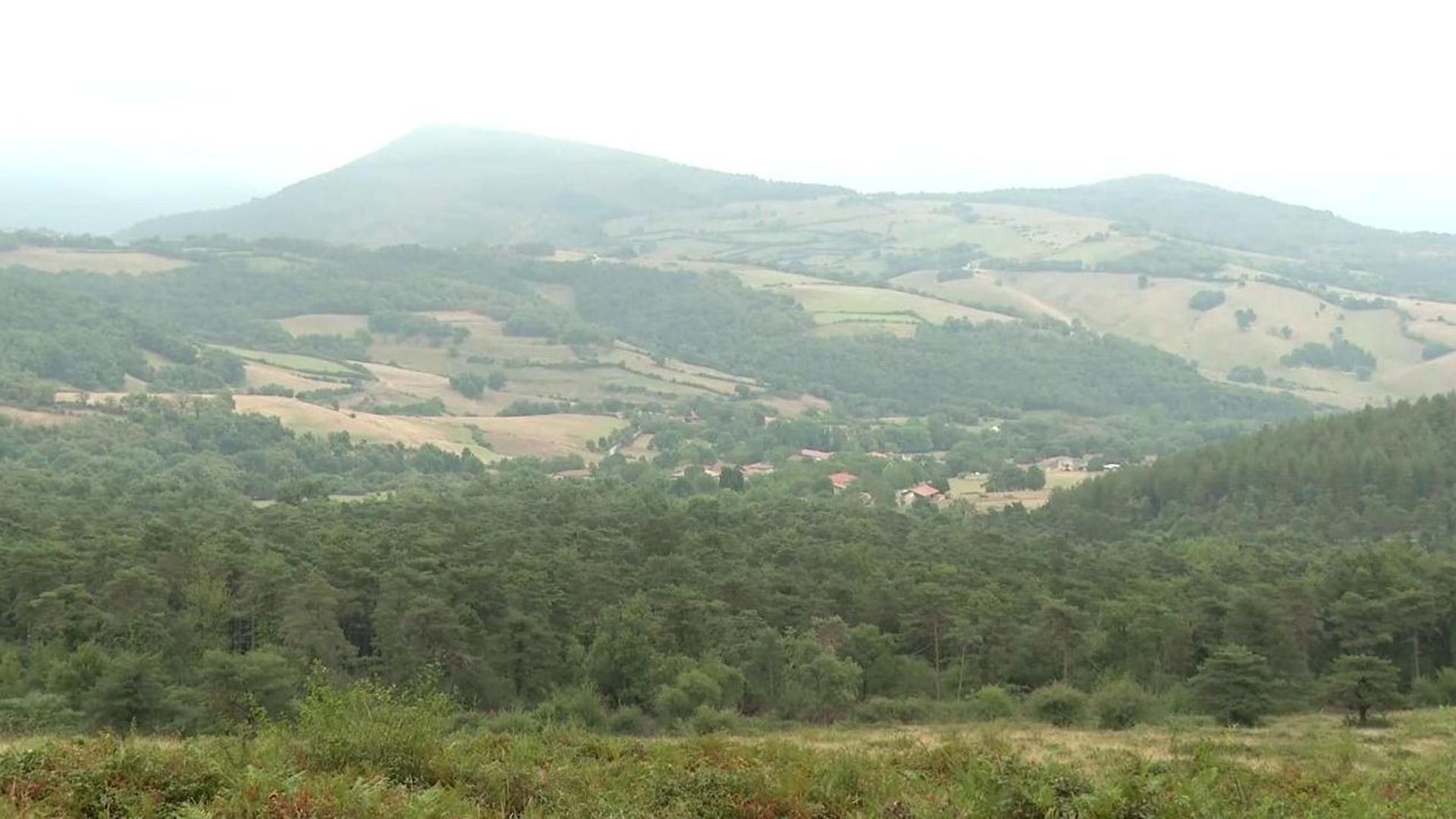 Por qué zonas como Cantabria y el País Vasco han esquivado los incendios: más prevención y ganado