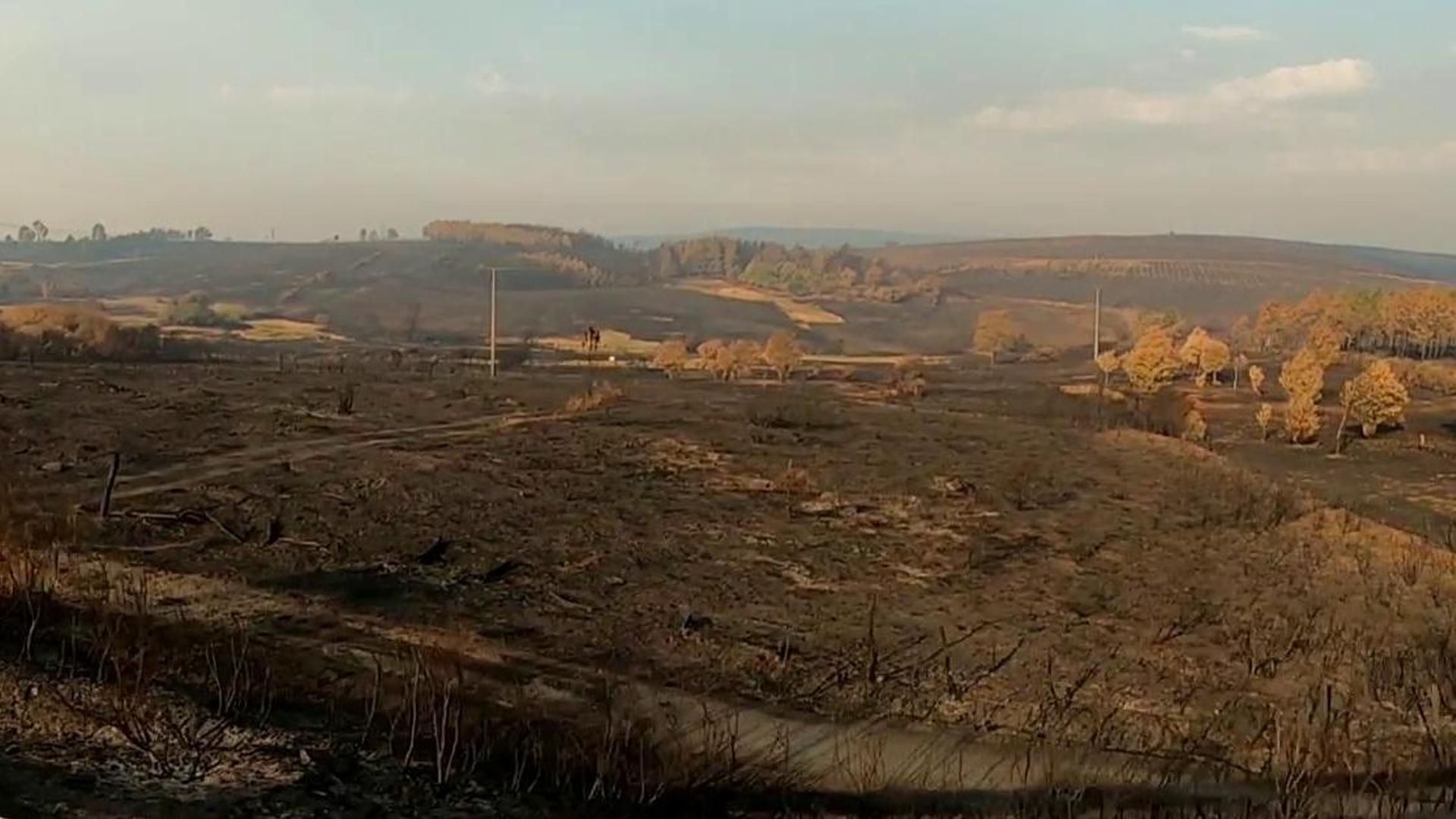 Resumen incendios emergencia