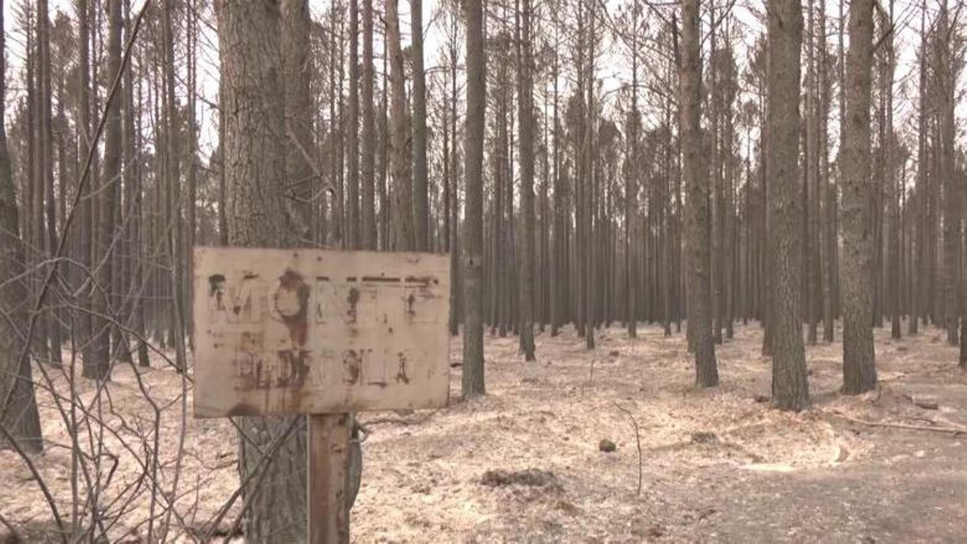 Alarma medioambiental tras los incendios: la ceniza arrastrada por las lluvias podría contaminar ríos y acuíferos
