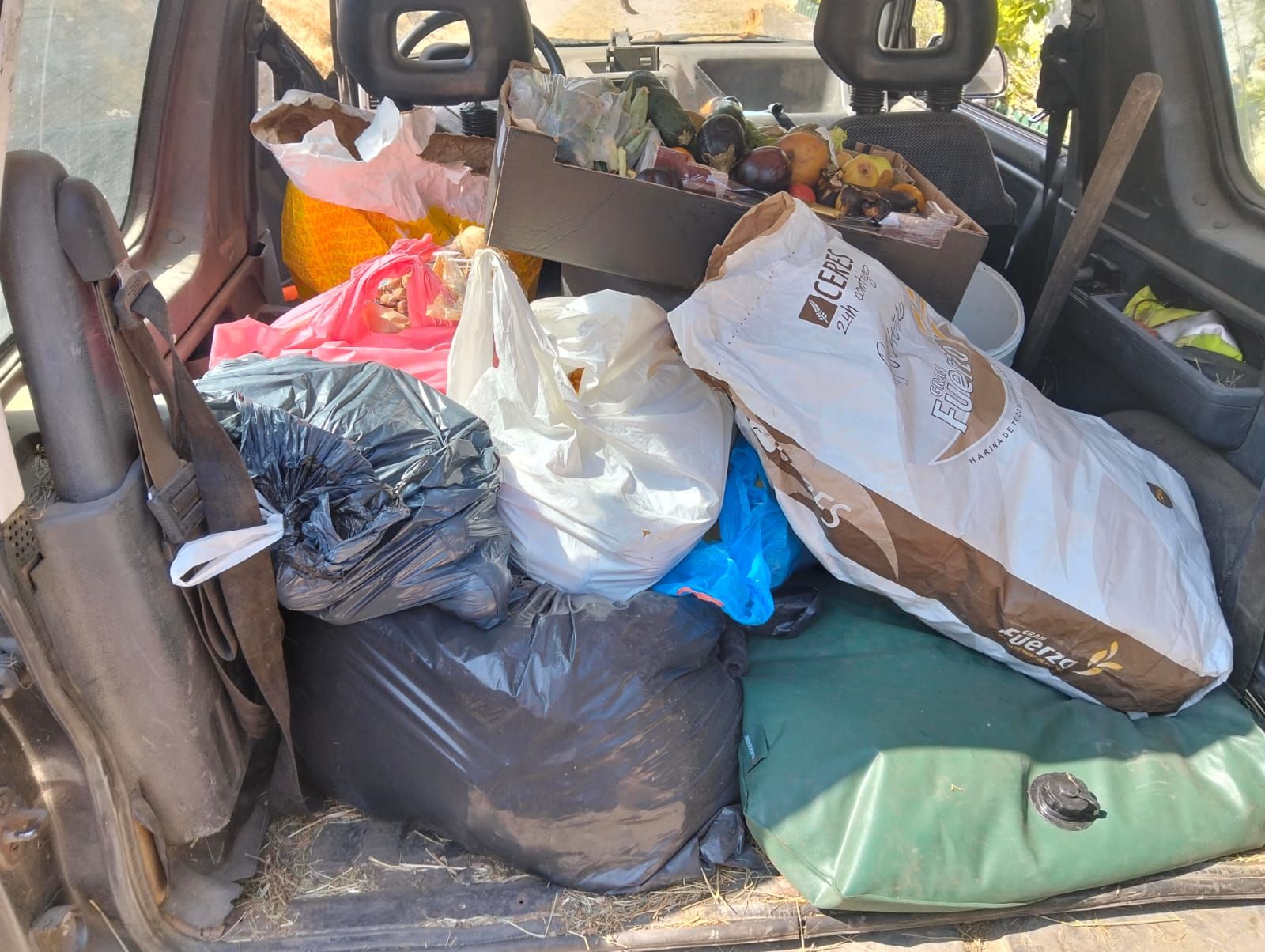 Comida recogida por los vecinos de Carballeda de Avia para los animales de la zona