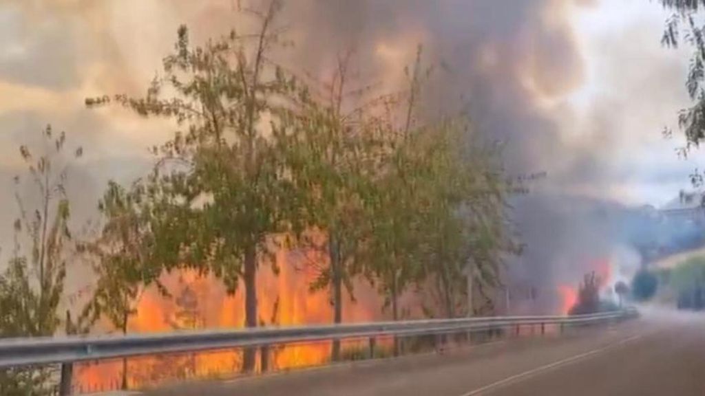 Detenido un joven de 20 años por provocar el incendio de Berlanga del Bierzo, en León