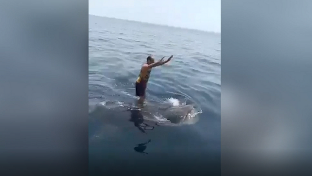 Las imágenes muestran al individuo completamente despreocupado por el riesgo