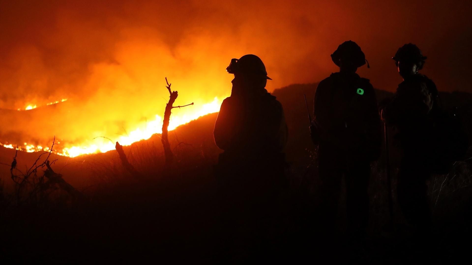 Los incendios en España han arrasado miles de hectáreas