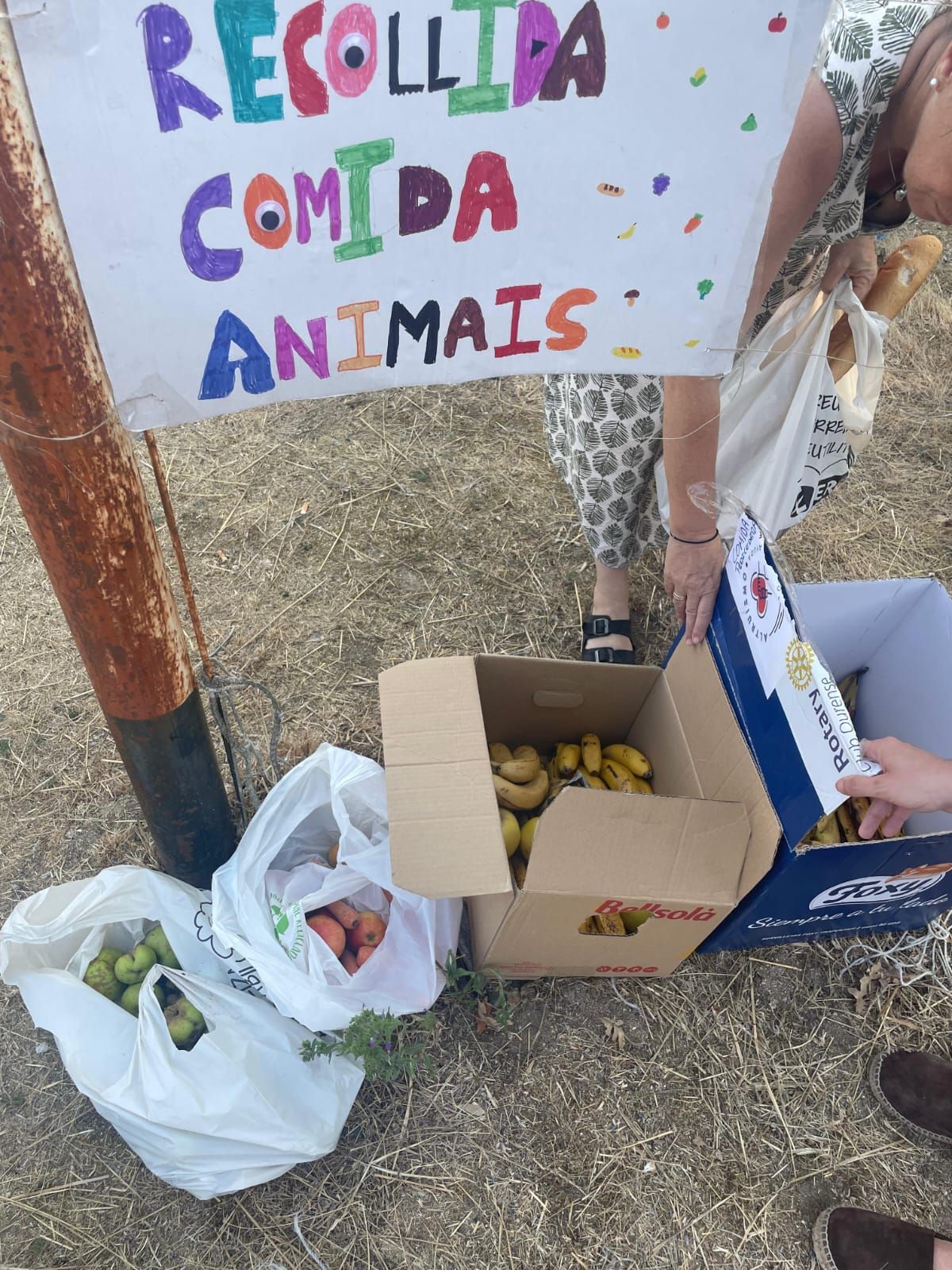 Puesto de recogida de comida para los animales, en Carballeda de Avia