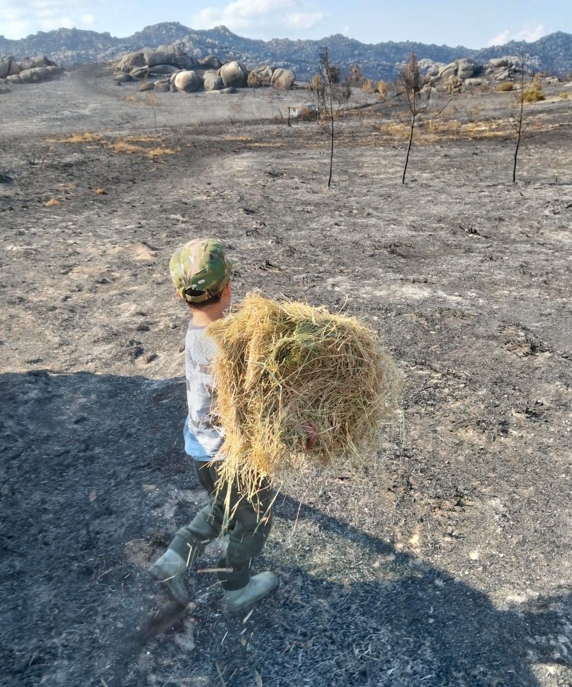 Un niño de Carballeda de Avia dejando comida para los animales en el monte calcinado