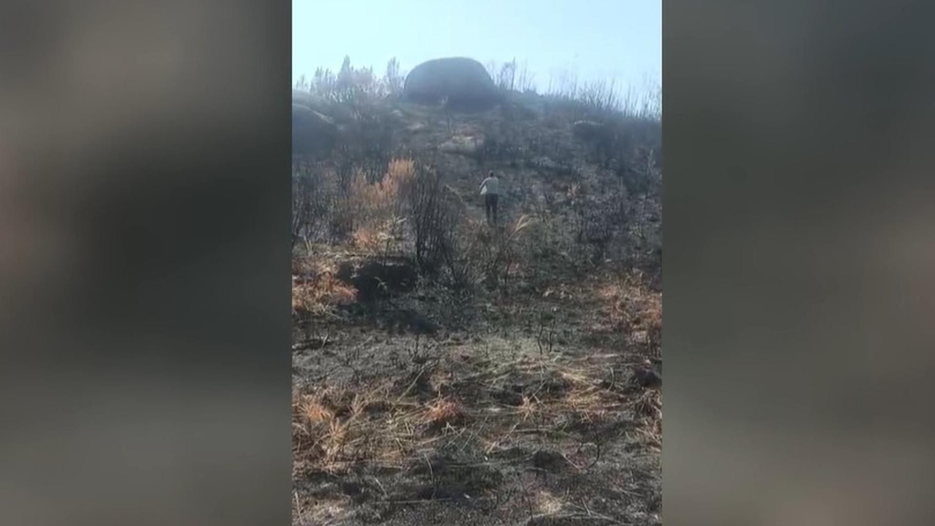Voluntarios echan pienso en el monte para que los animales puedan comer en Carballeda de Avia,