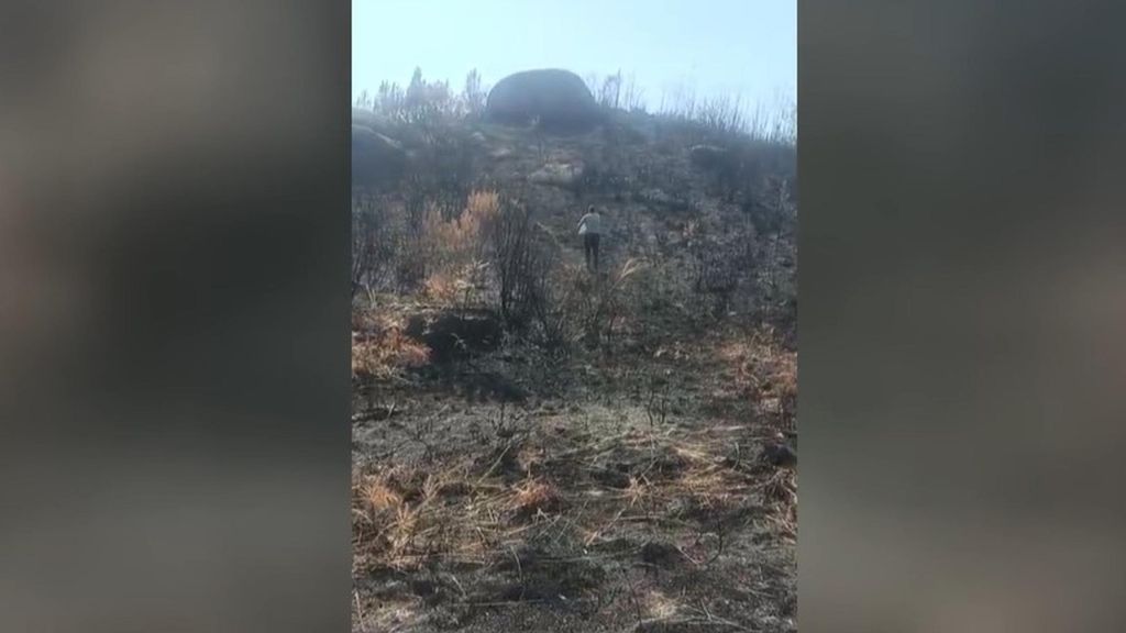 Voluntarios echan pienso en el monte para que los animales puedan comer en Carballeda de Avia,