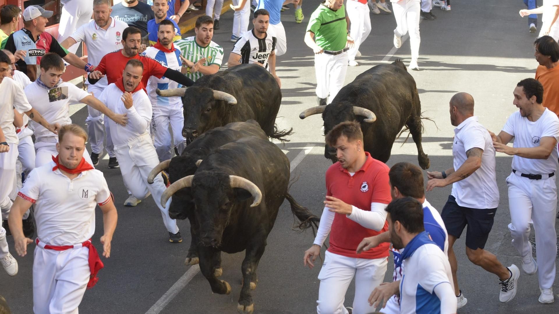Encierro toros en San Sebastián de los Reyes