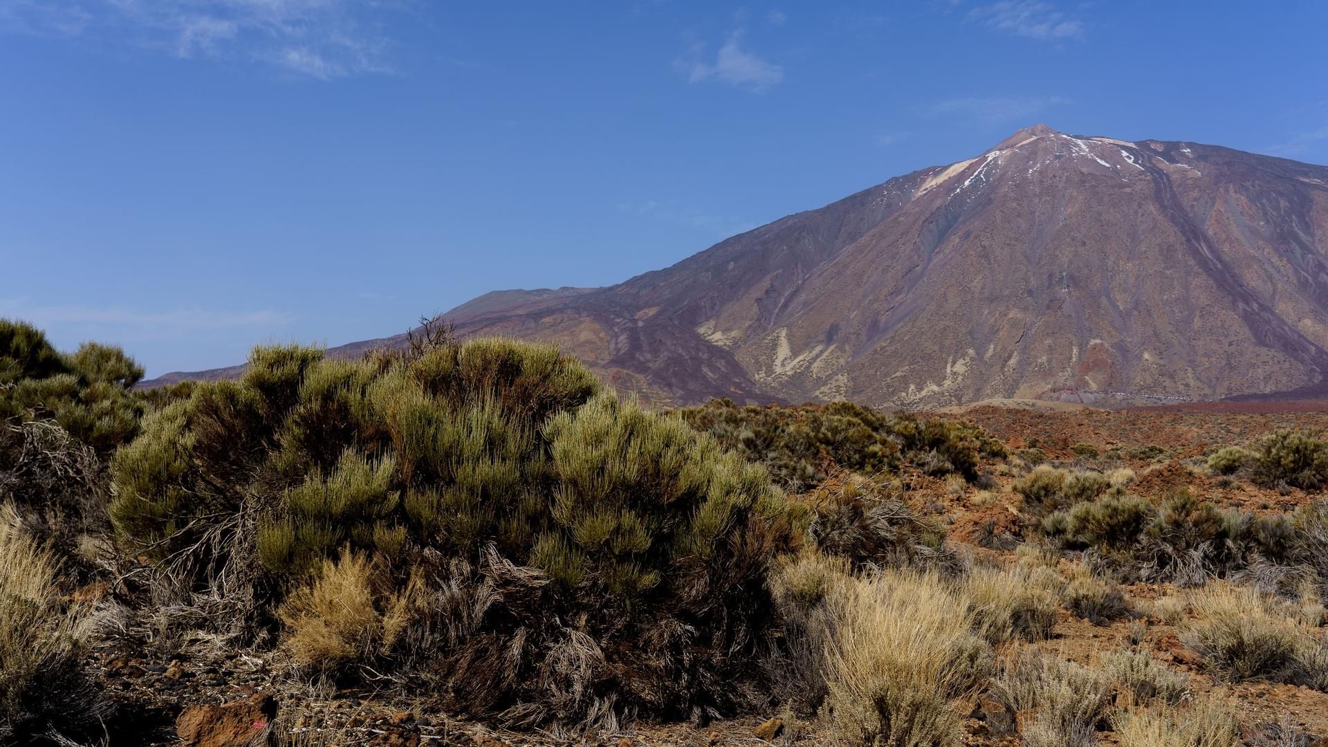Imagen de archivo del Parque Nacional del Teide