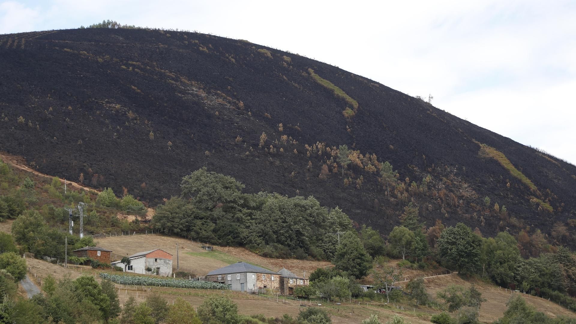 Monte calcinado en Aguiar, próximo a San Pedro de Río, en A Fonsagrada, Lugo