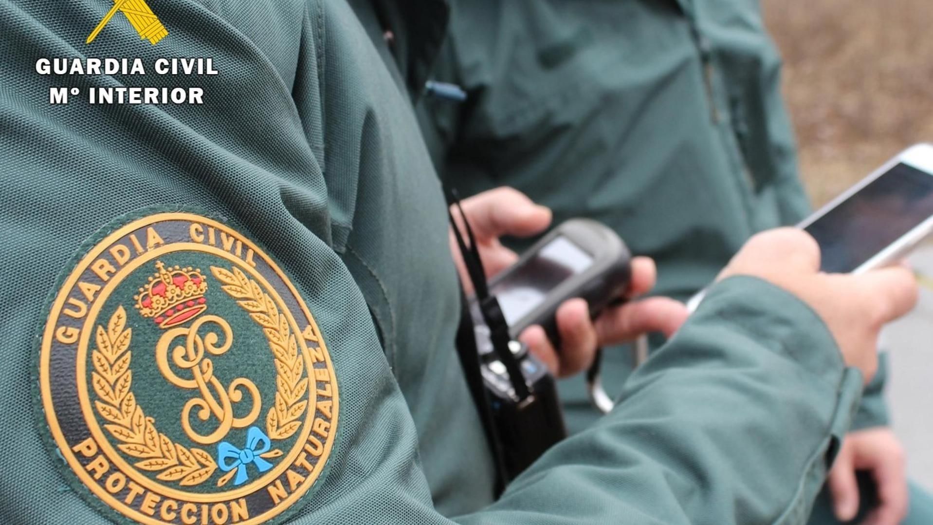 Archivo - Varios agentes del Seprona.