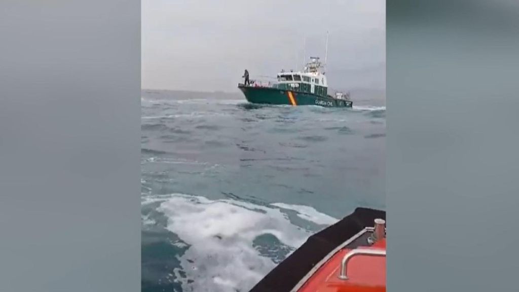 Ataque muy agresivo de orcas en Galicia