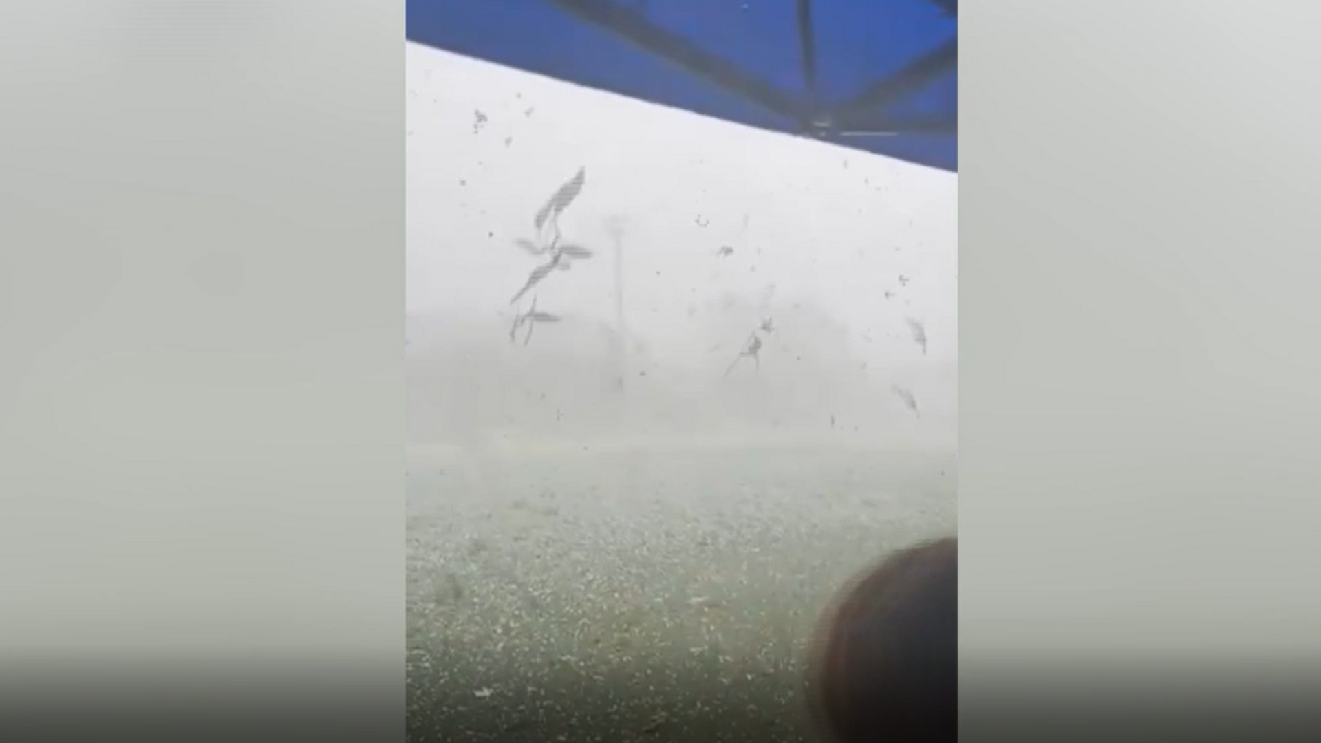 Granizada en Navarra