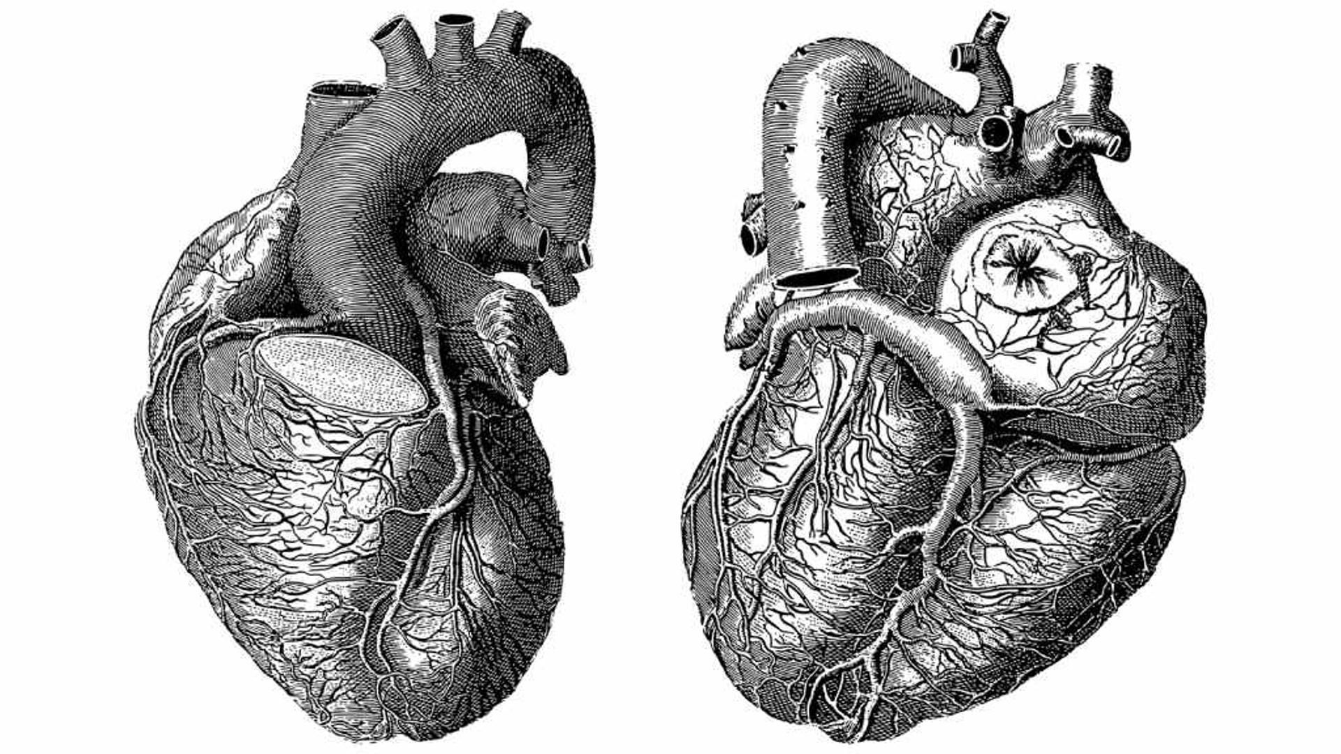 No todos los corazones están hacia la izquierda