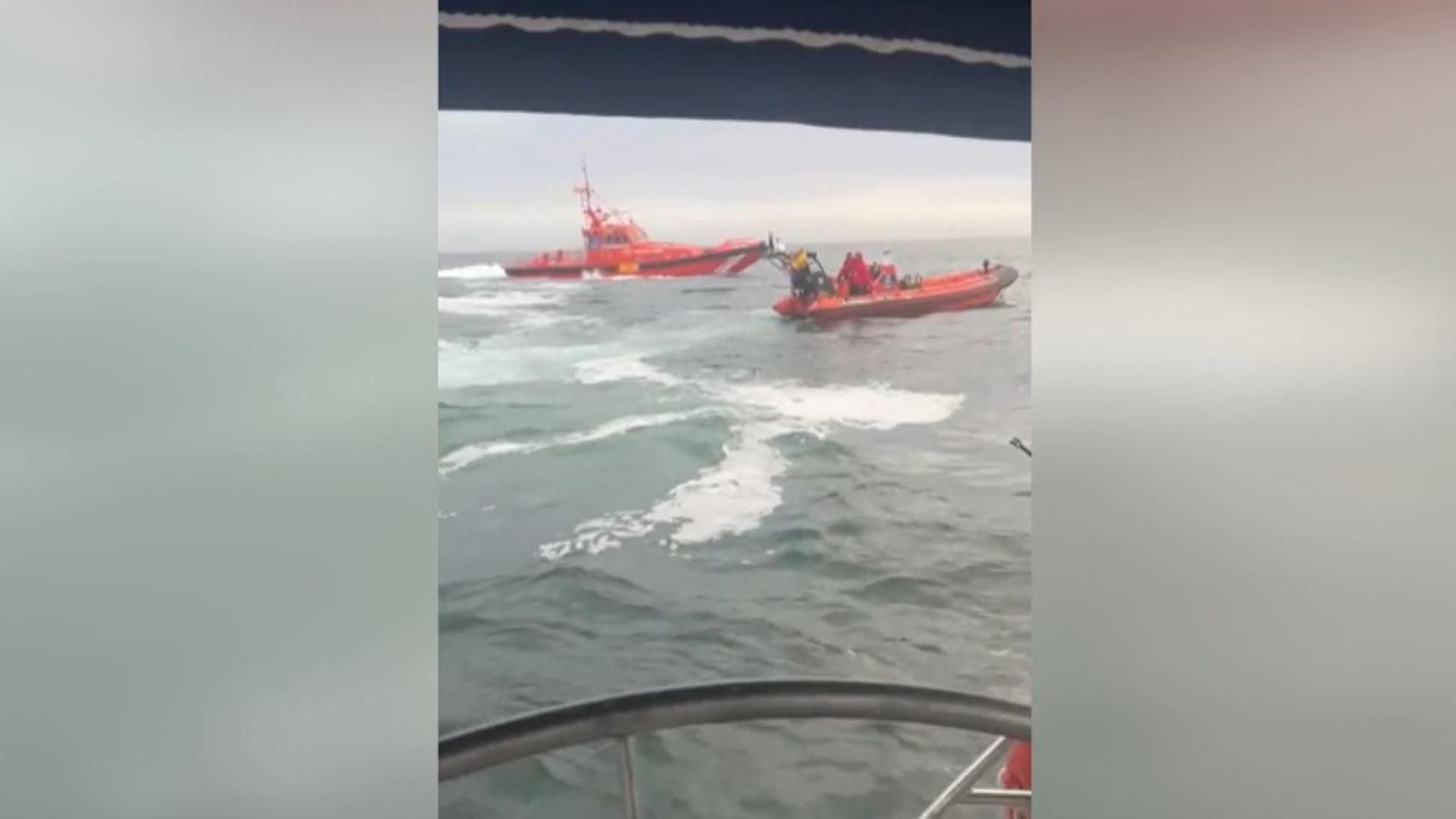 Nuevos ataques de orcas a barcos en Galicia