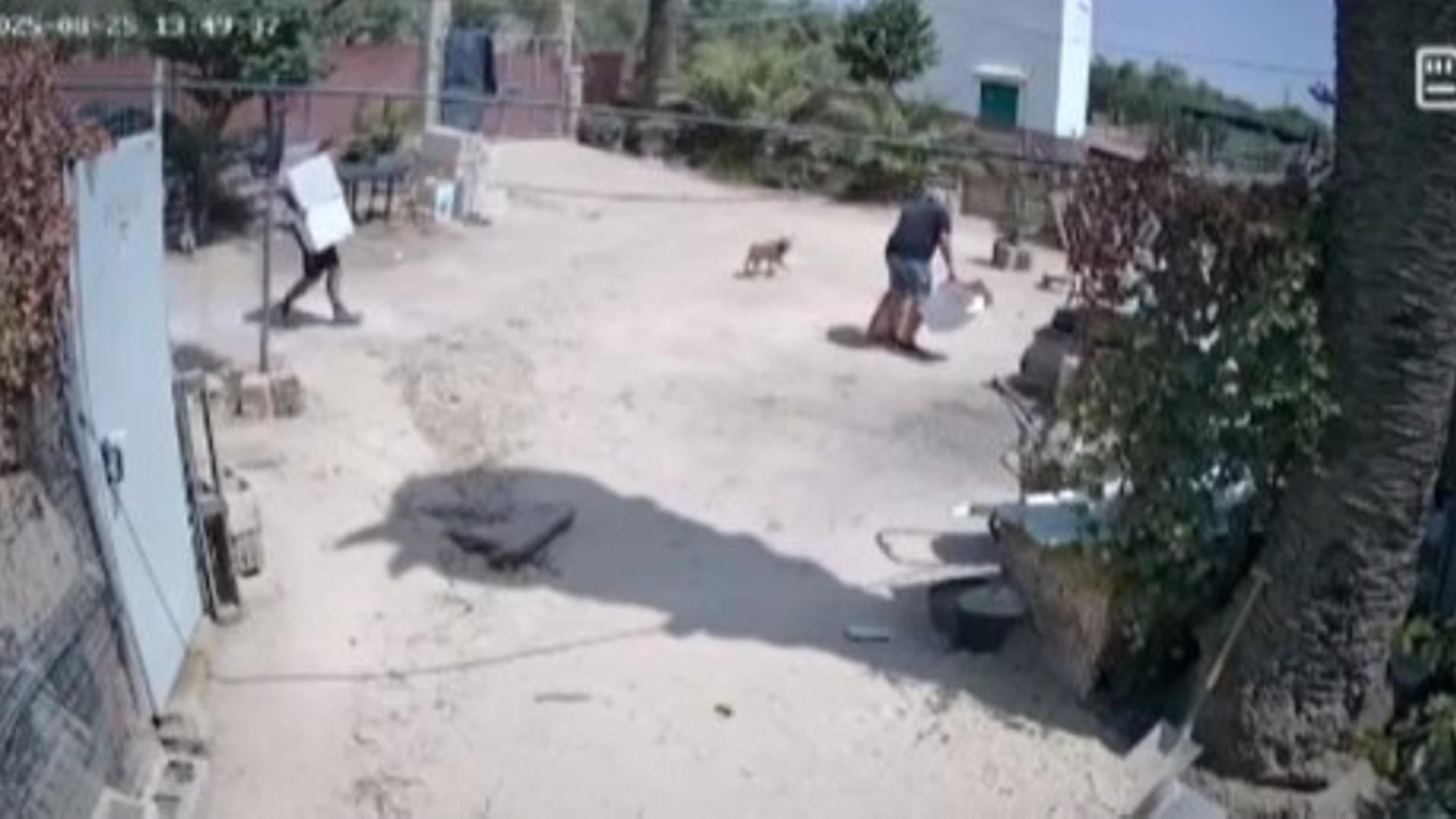 Roban más de 120 kilos de pienso y herramientas en el refugio canino de Santaella