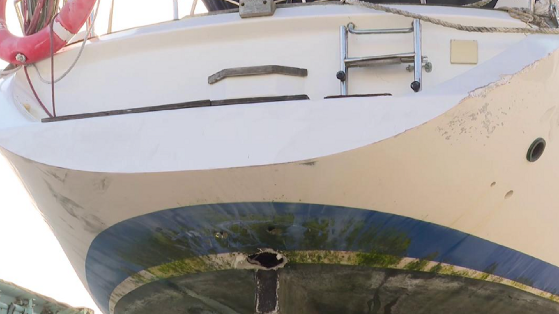 Se multiplican los ataques de orcas a veleros en las costas de Galicia: un grupo de turistas, remolcado por salvamento