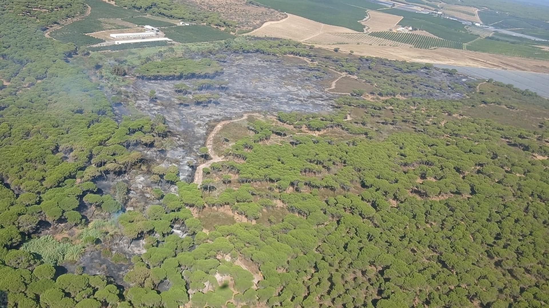 Vista aérea del incendio declarado en Gibraleón, Huelva