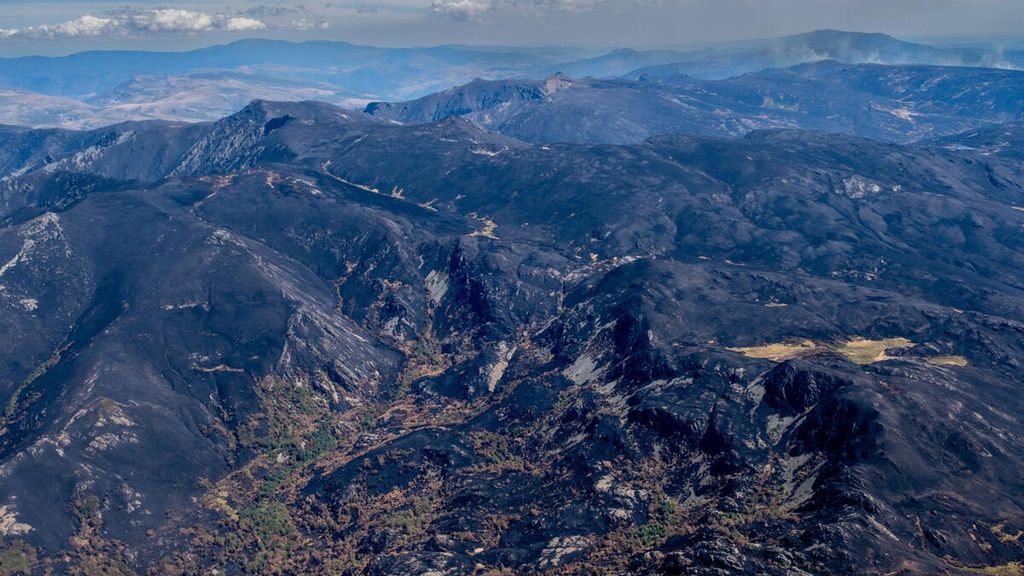 Las impresionantes imágenes desde el aire de Greenpeace sobre las zonas quemadas por los incendios
