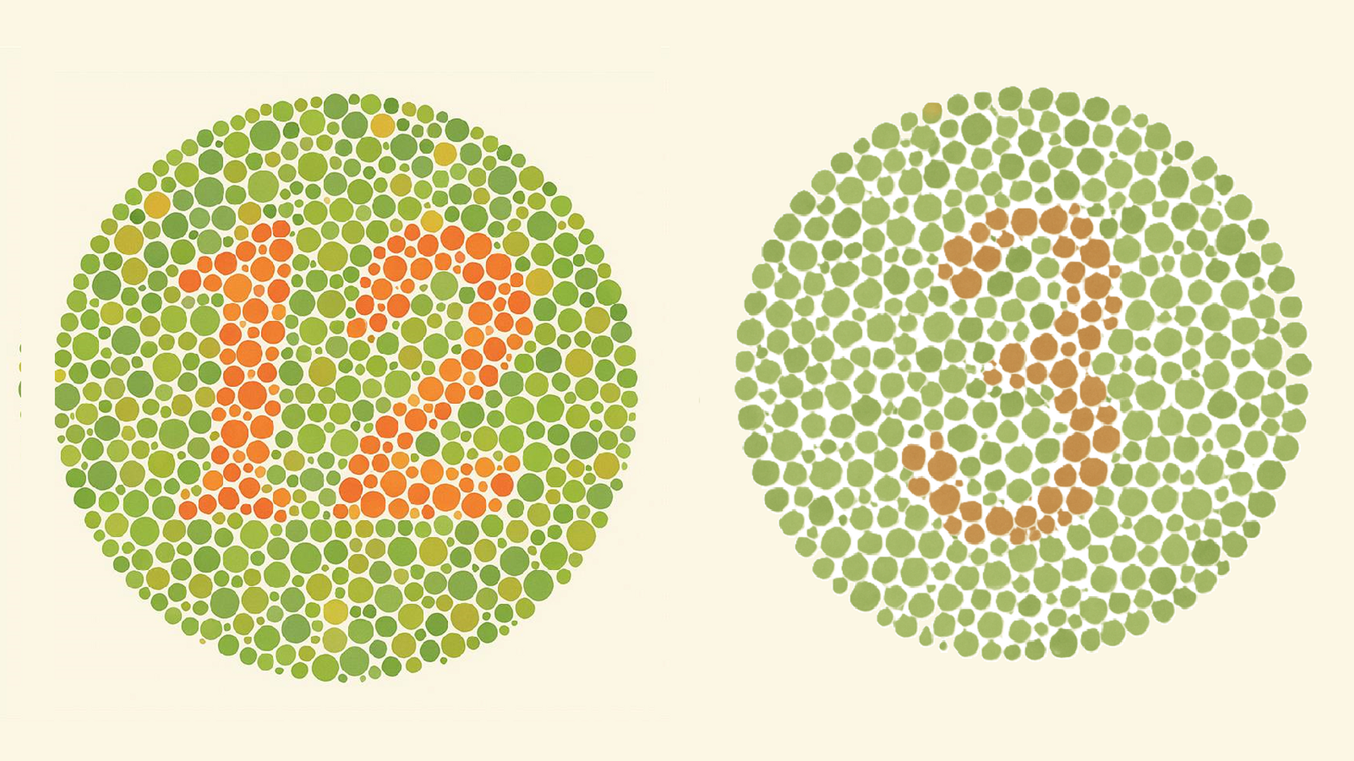 Una persona con daltonismo puede no ser capaz de identificar el número 12 y 3 entre los puntos en ésta imagen.