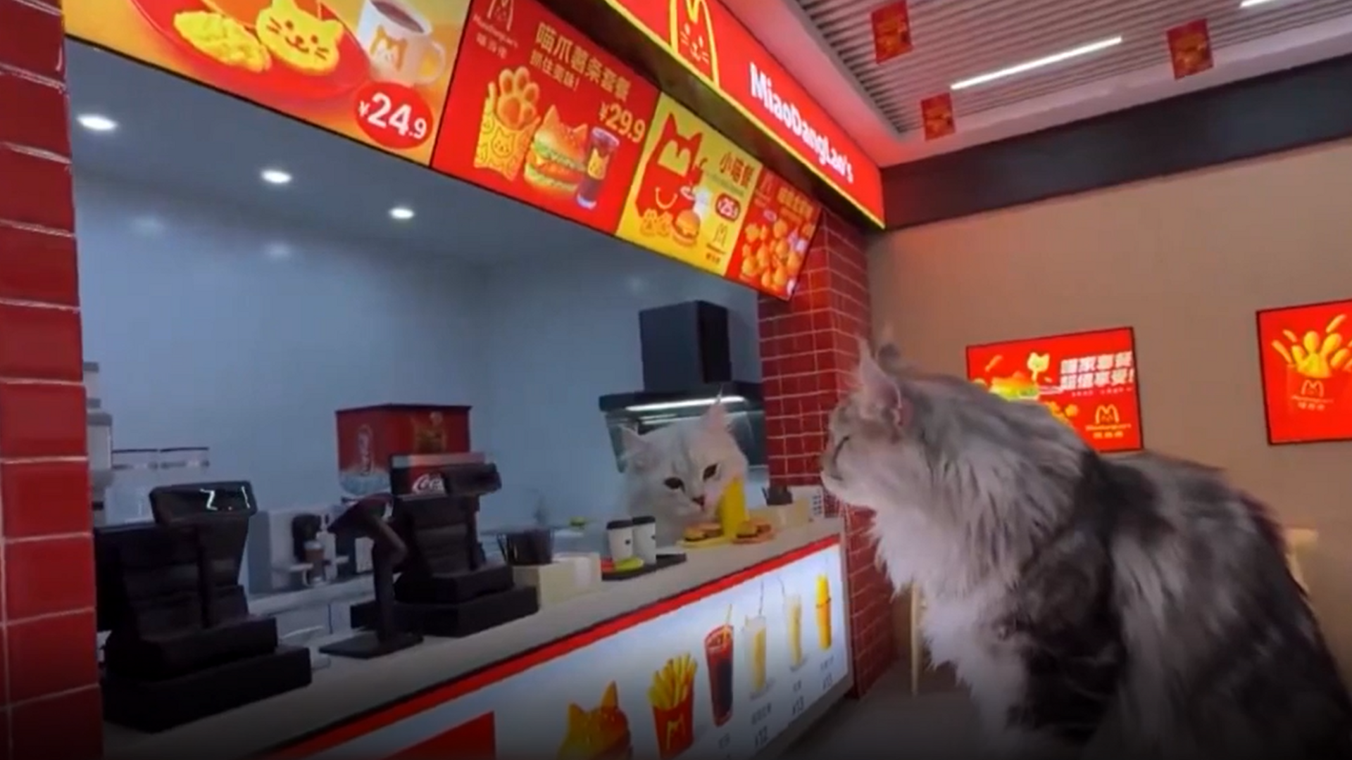 Ciudad miniatura para gatos