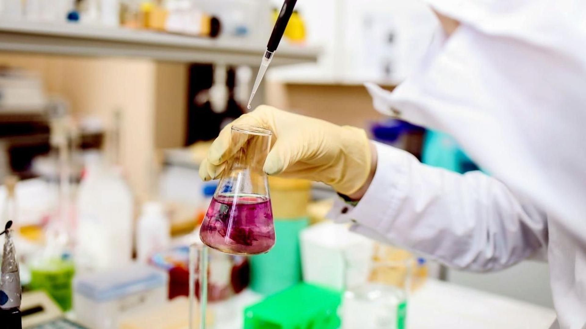 Investigadores españoles sintetizan una molécula que abre la puerta al uso de lipofenoles contra patologías intestinales