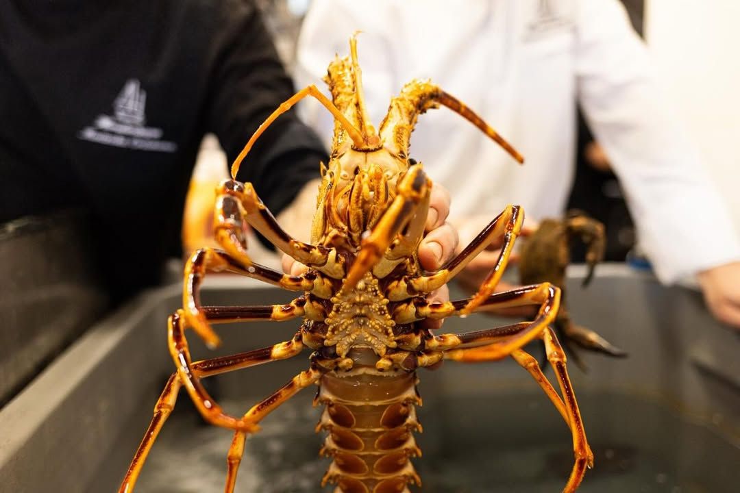 491041042 17866072791367102 825572188626690777 n