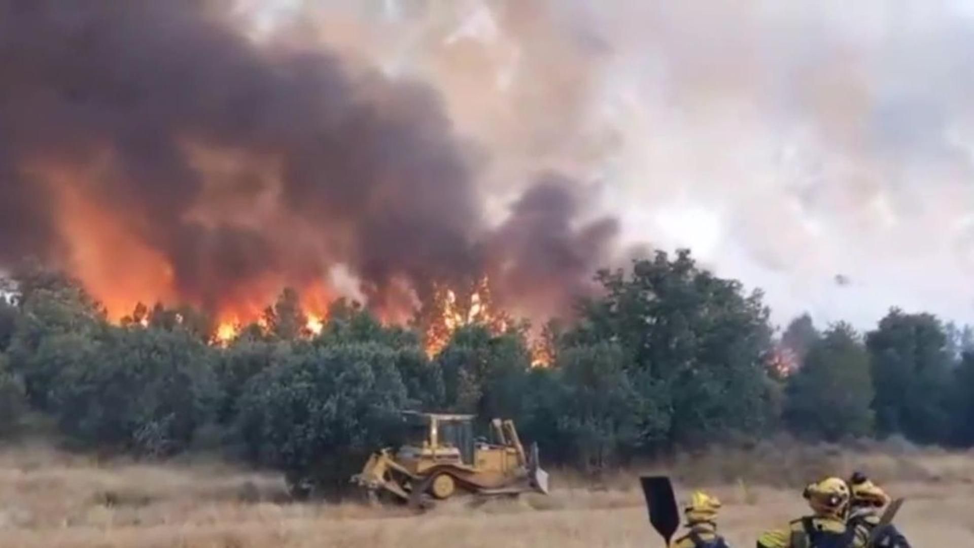 El cambio climático está tras los megaincendios de España, Portugal, Grecia o Turquía El cambio climático está tras los megaincendios de España, Portugal, Grecia o Turquía