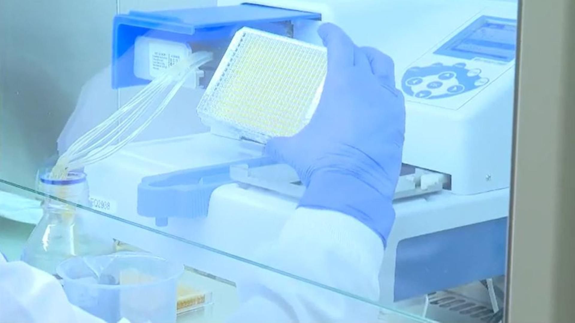 La resistencia a los antibióticos, una de las grandes amenazas para la humanidad