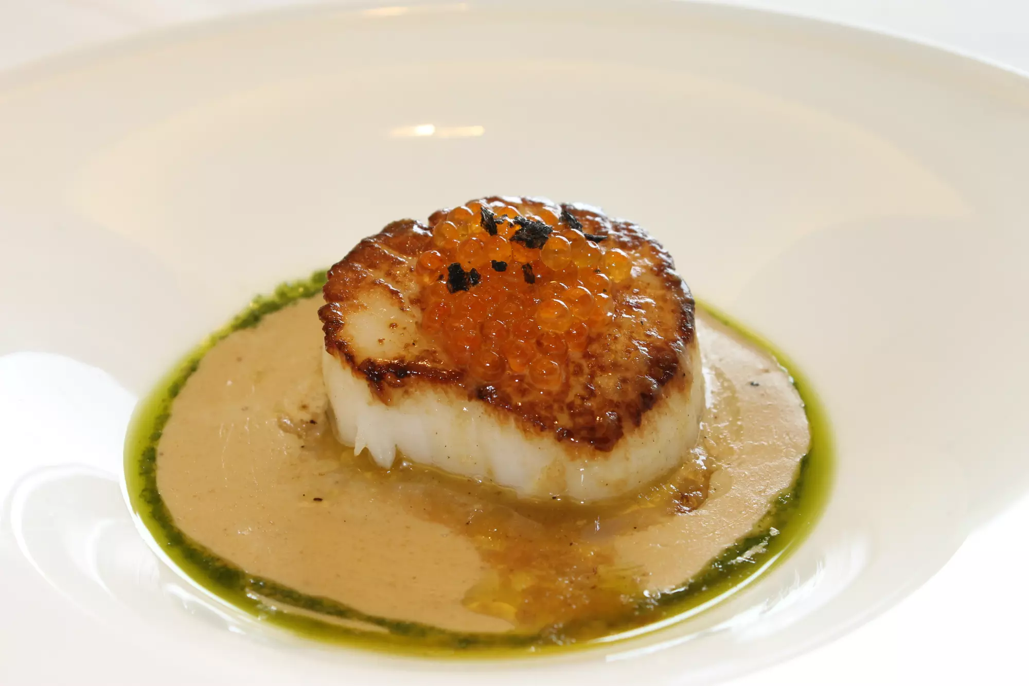 vieira tamarises izarra