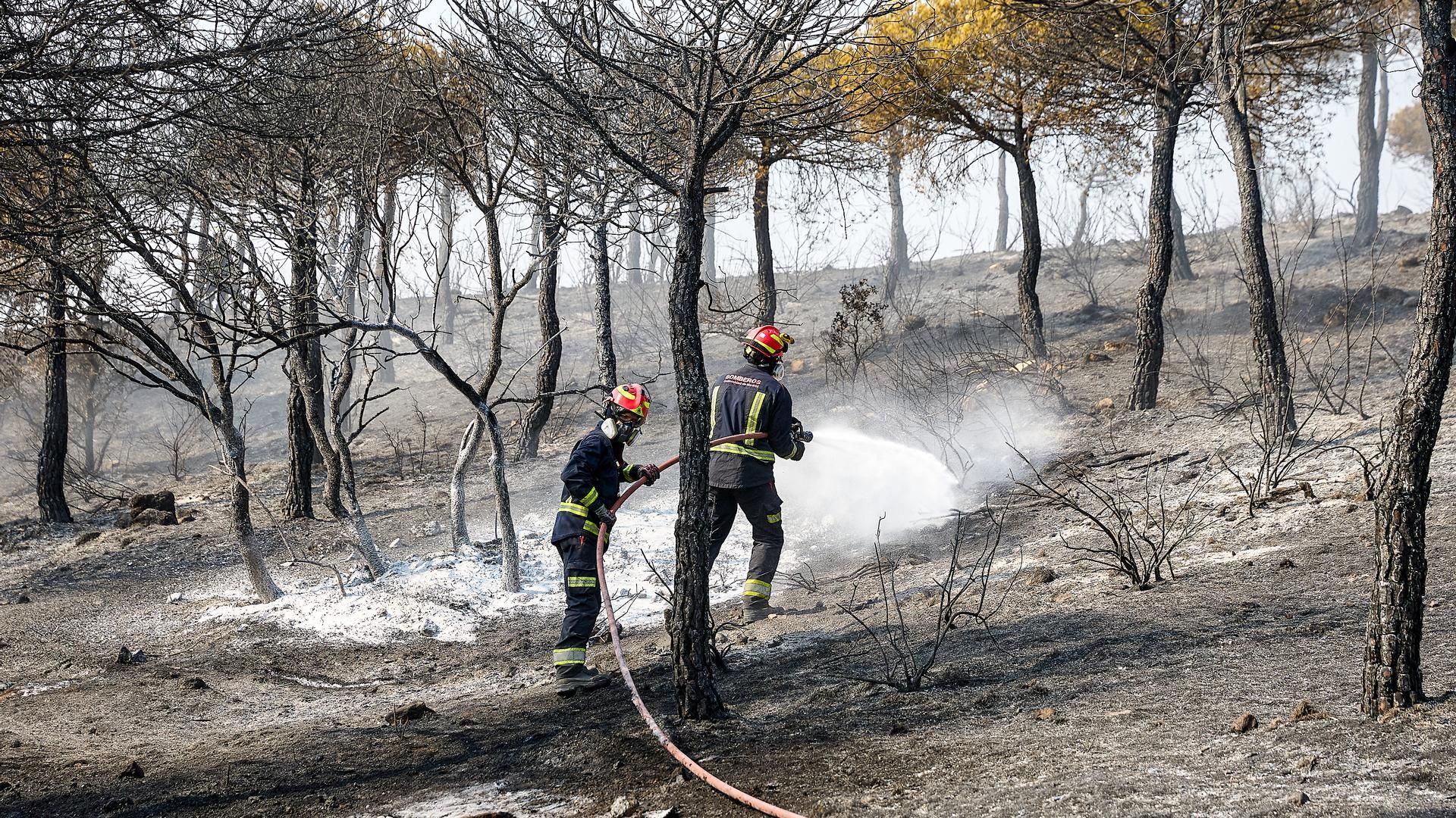 Bomberos de la Comunidad de Madrid extinguen un incendio en Colmenar Viejo