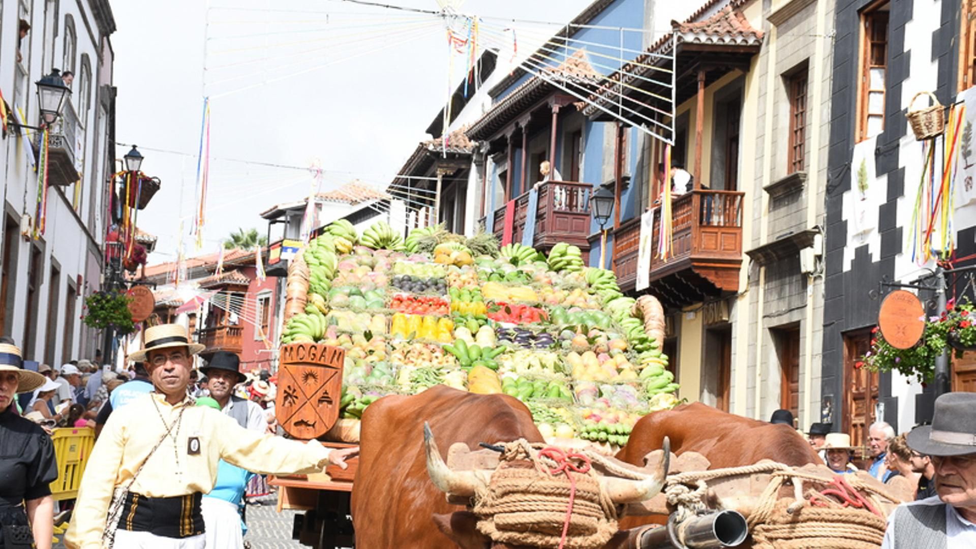 FIESTAS DEL PINO DE TEROR