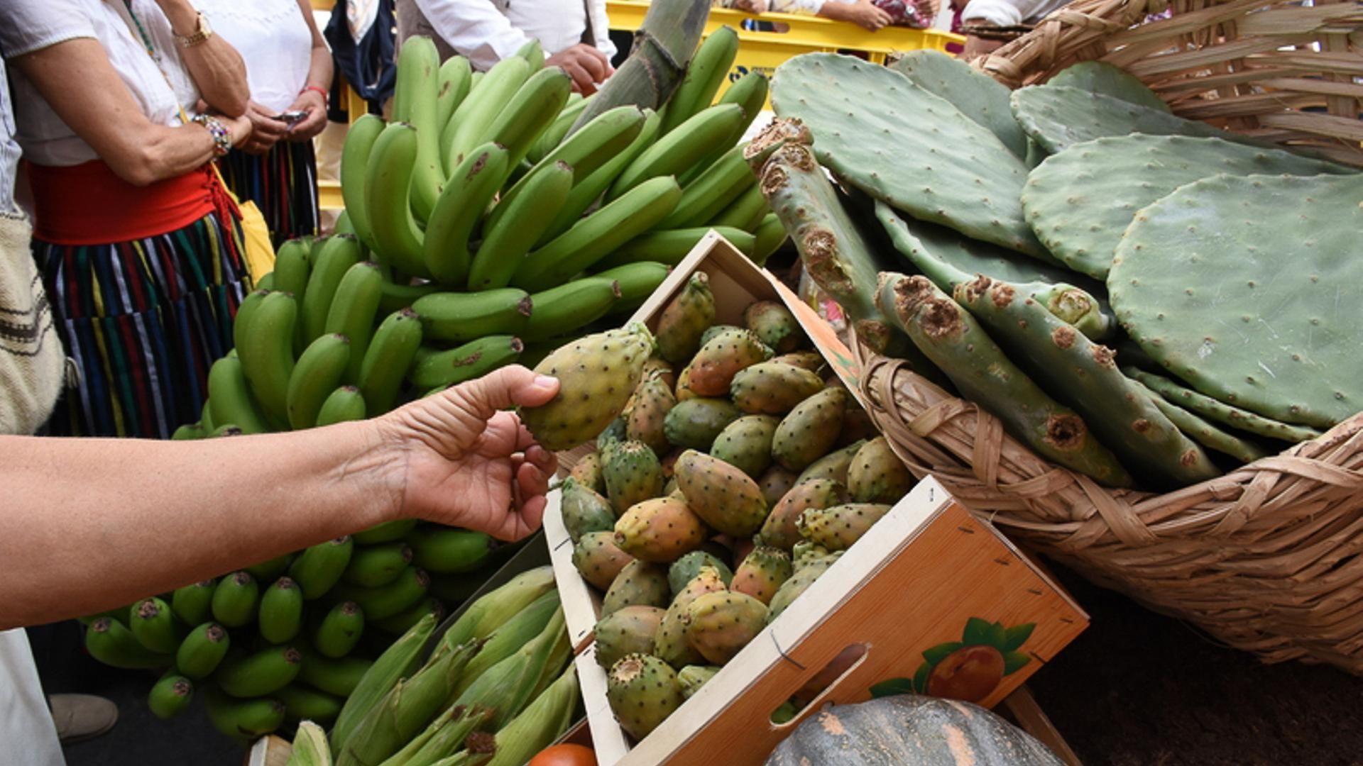 FRUTA Y VERDURA MERCADILLO DE TEROR