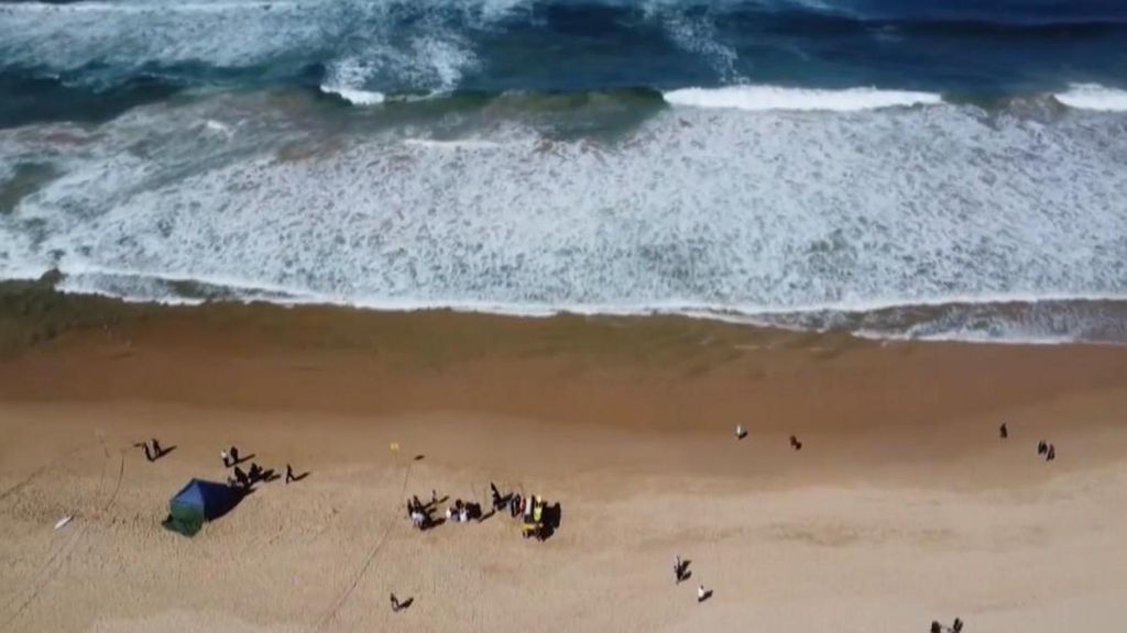 Ataque mortal de un tiburón a un surfista de 57 años en una playa de Australia