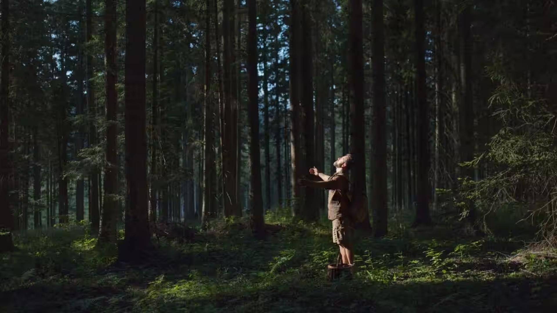 Practicando el Shinrin Yoku