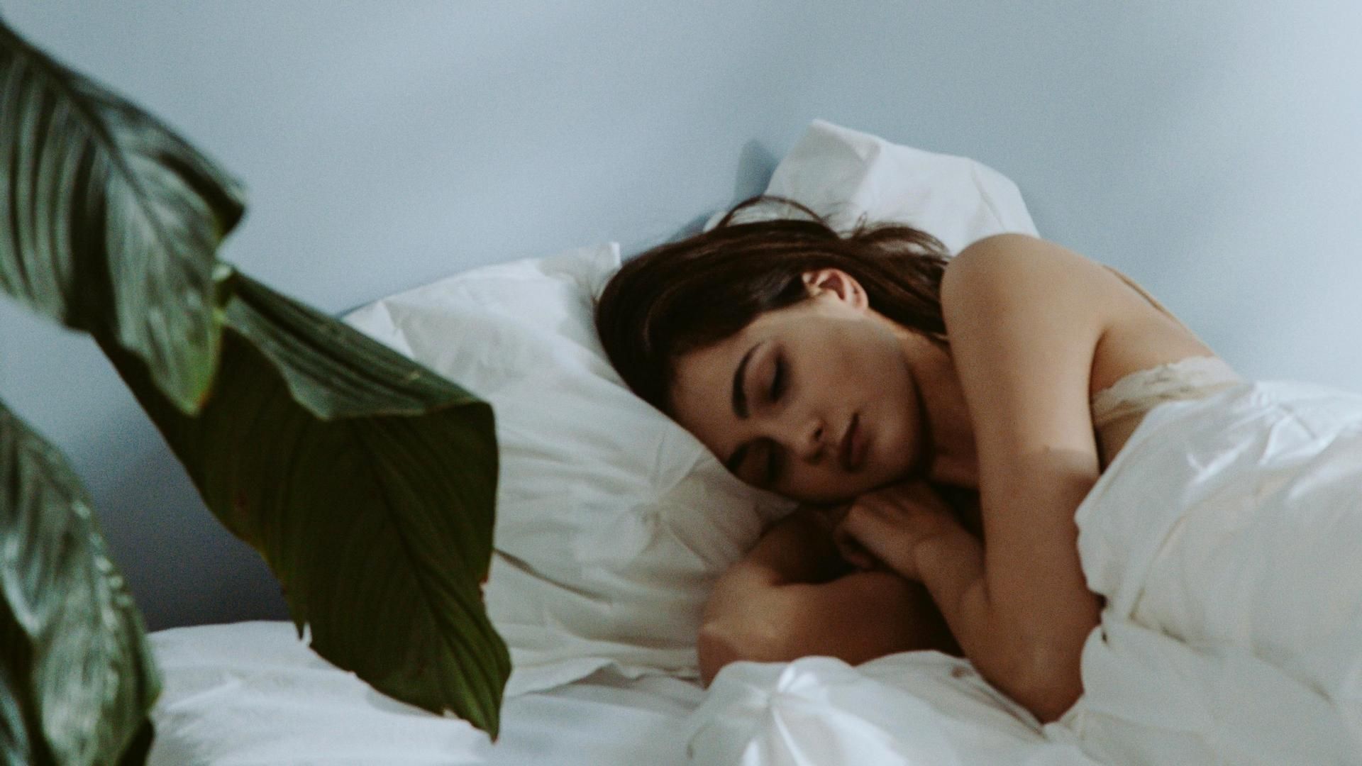 Algunas plantas ayudan a dormir mejor Algunas plantas ayudan a dormir mejor