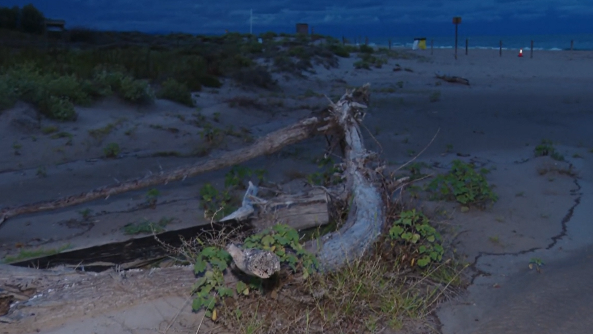El rastro del reventón térmico en el Mediterráneo: árboles arrancados, inundaciones, retrasos en vuelos y clases suspendidas El rastro del reventón térmico en el Mediterráneo: árboles arrancados, inundaciones, retrasos en vuelos y clases suspendidas