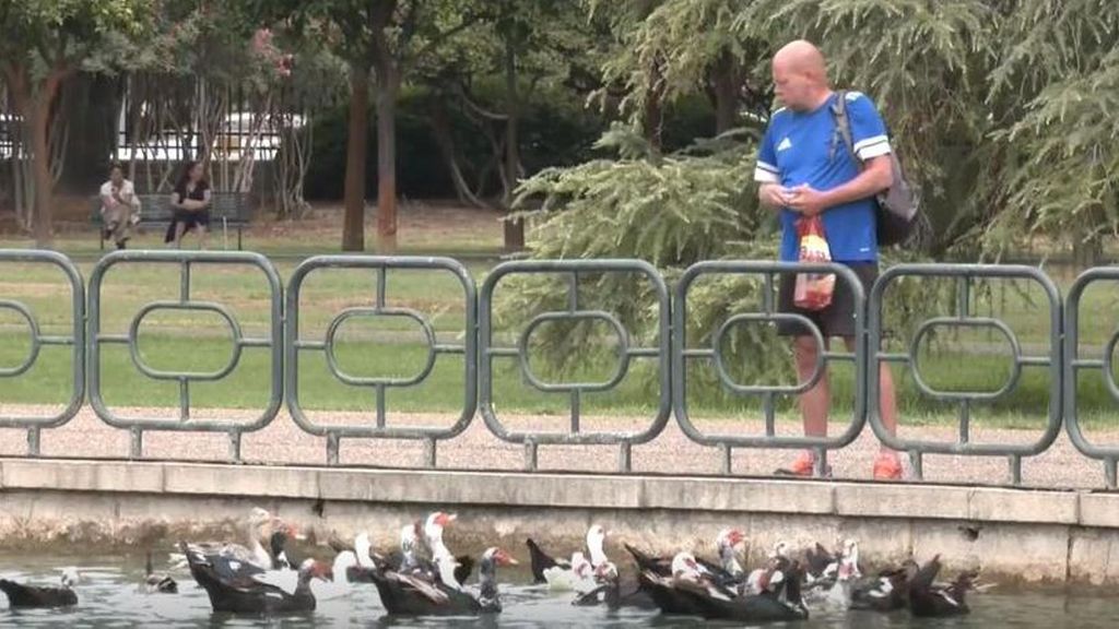 La gripe aviar originada en Sevilla se extiende a Doñana y obliga al sacrificio de 37.000 gallinas en Guadalajara