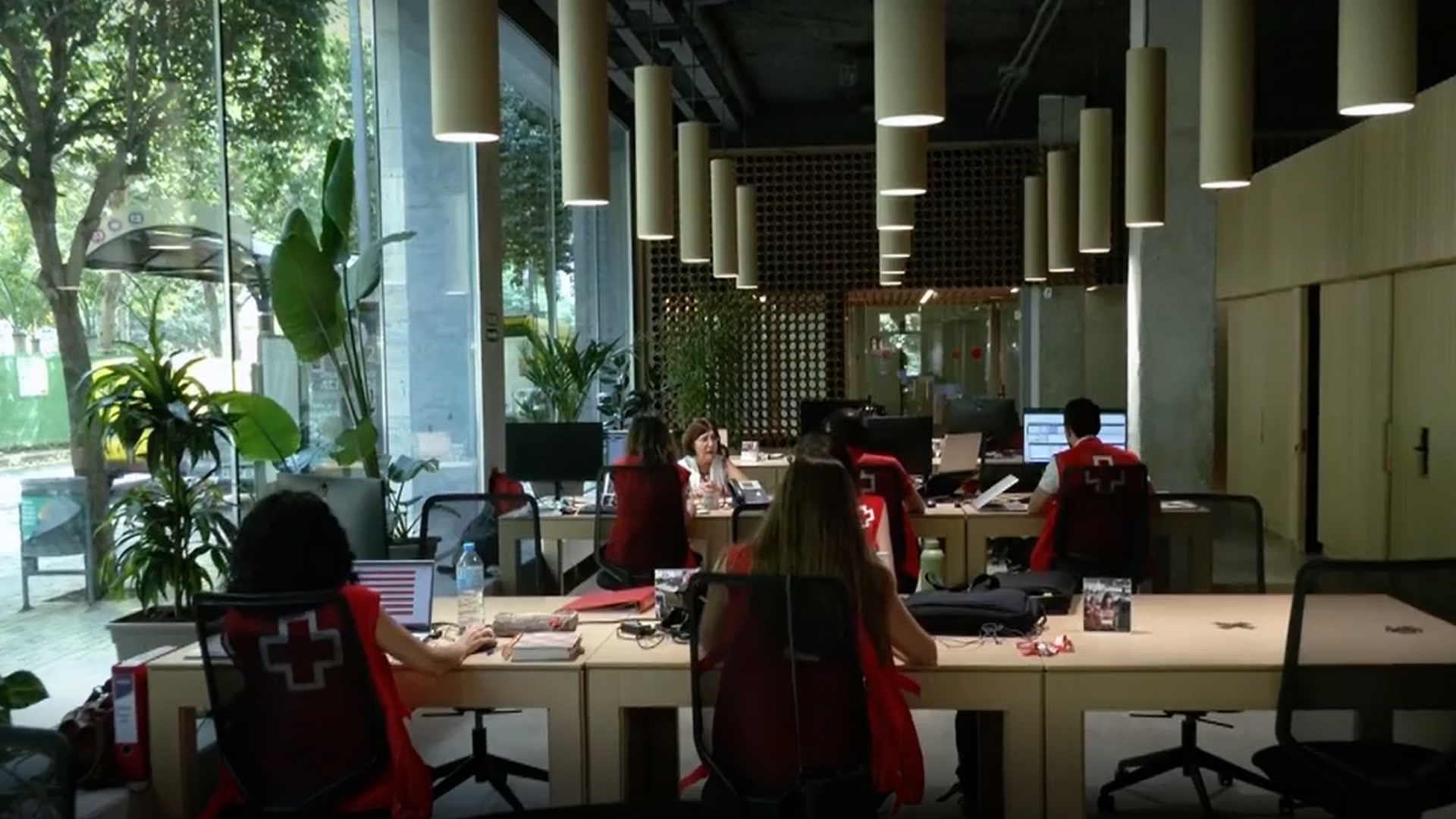 La oficina de cartón en Granada