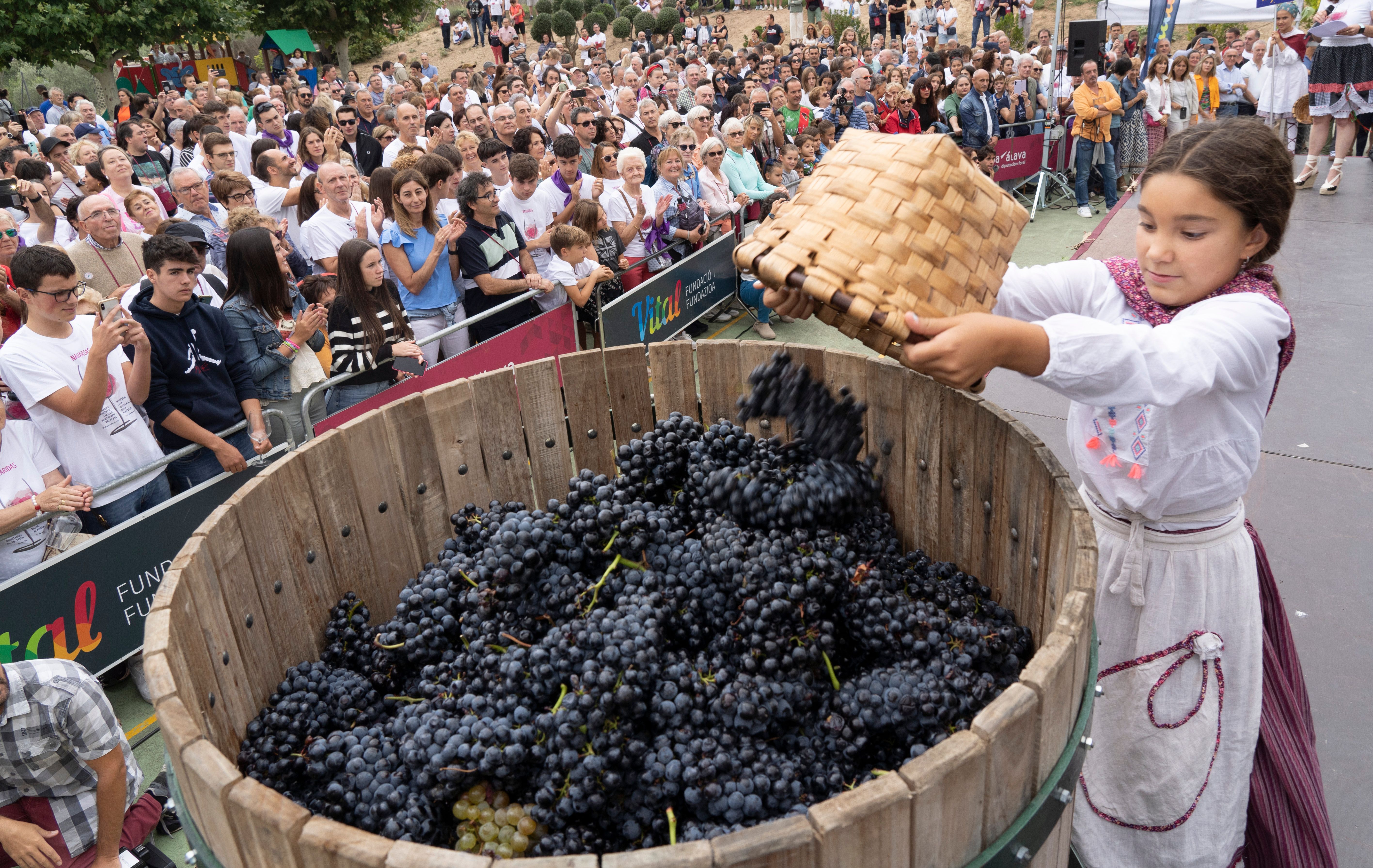 Una niña coloca uvas para su pisado en madera durante la Fiesta de la Vendimia de Rioja Alavesa