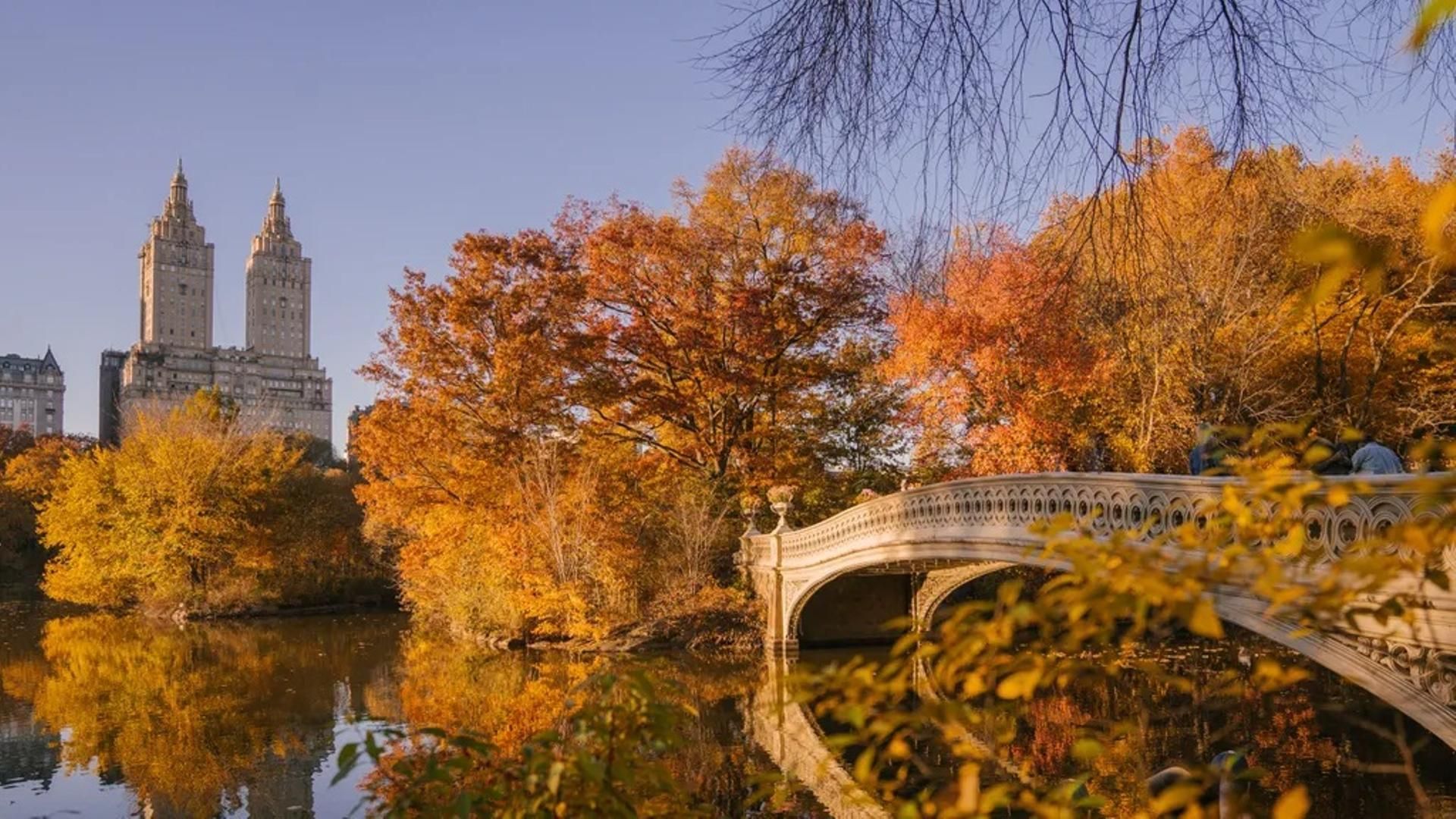 Viajar a Nueva York en Otoño