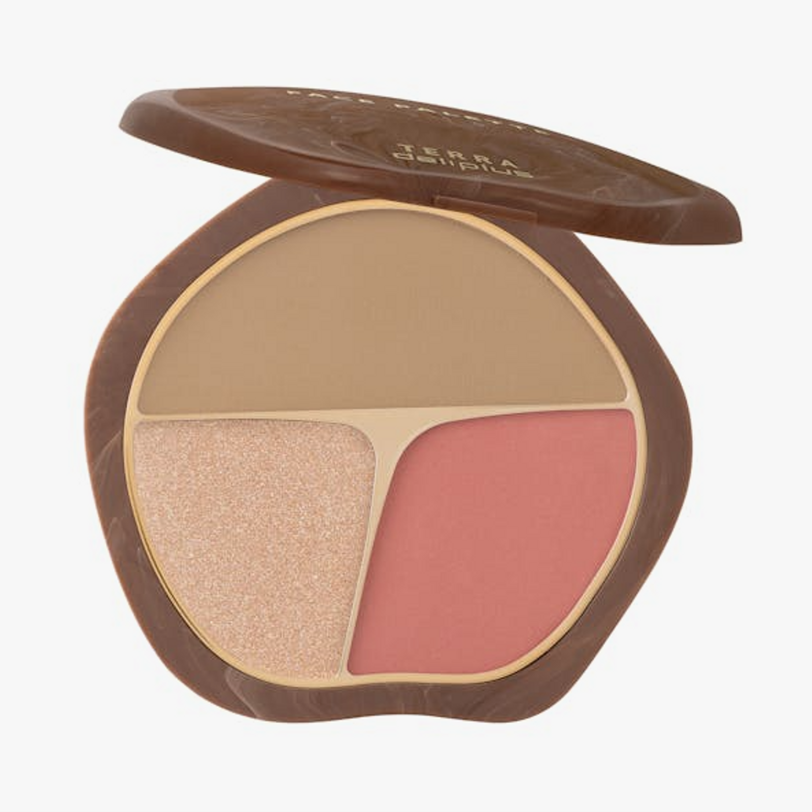 Paleta rostro Terra