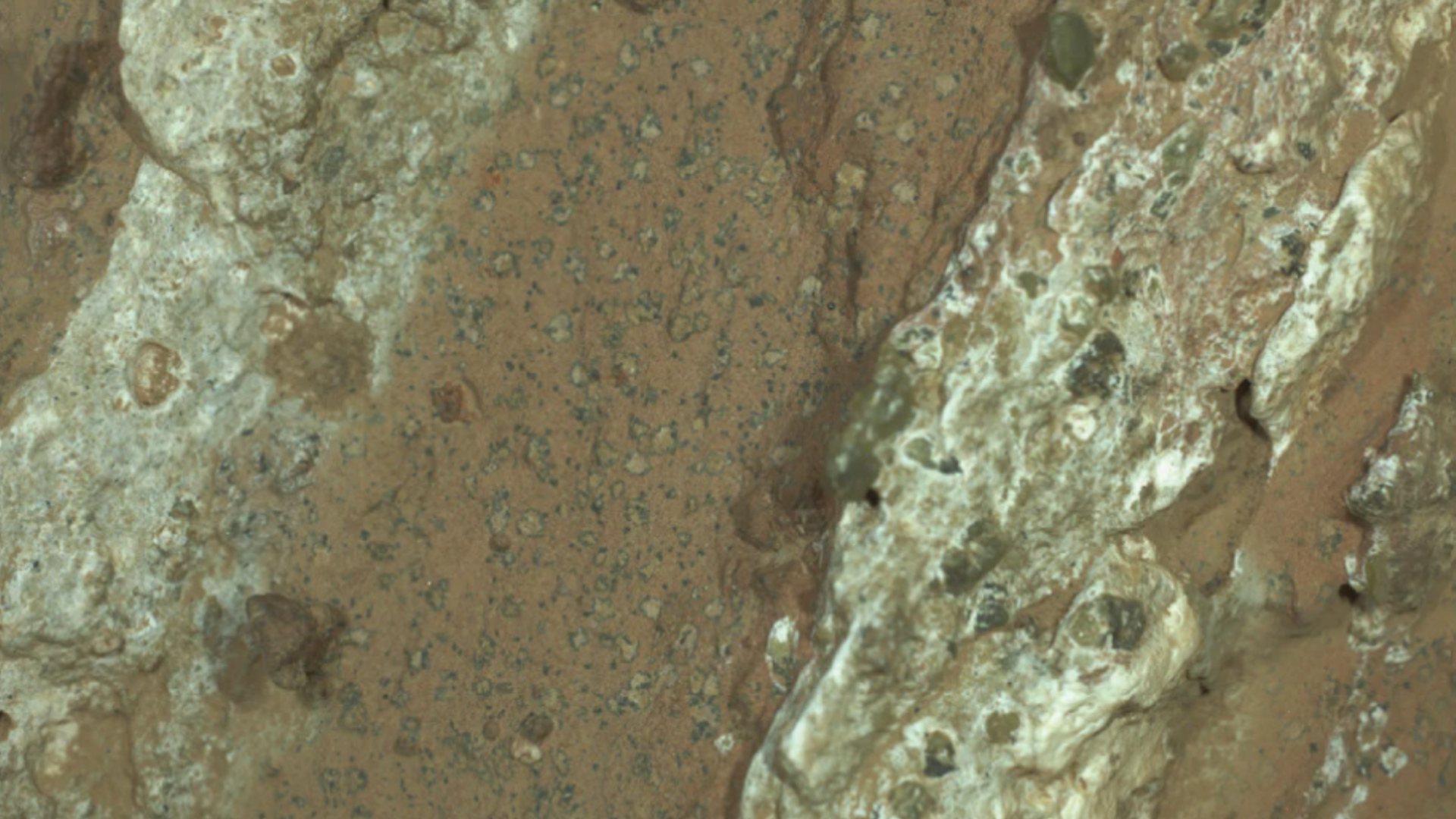 Perseverance encuentra la señal más clara de vida antigua en Marte