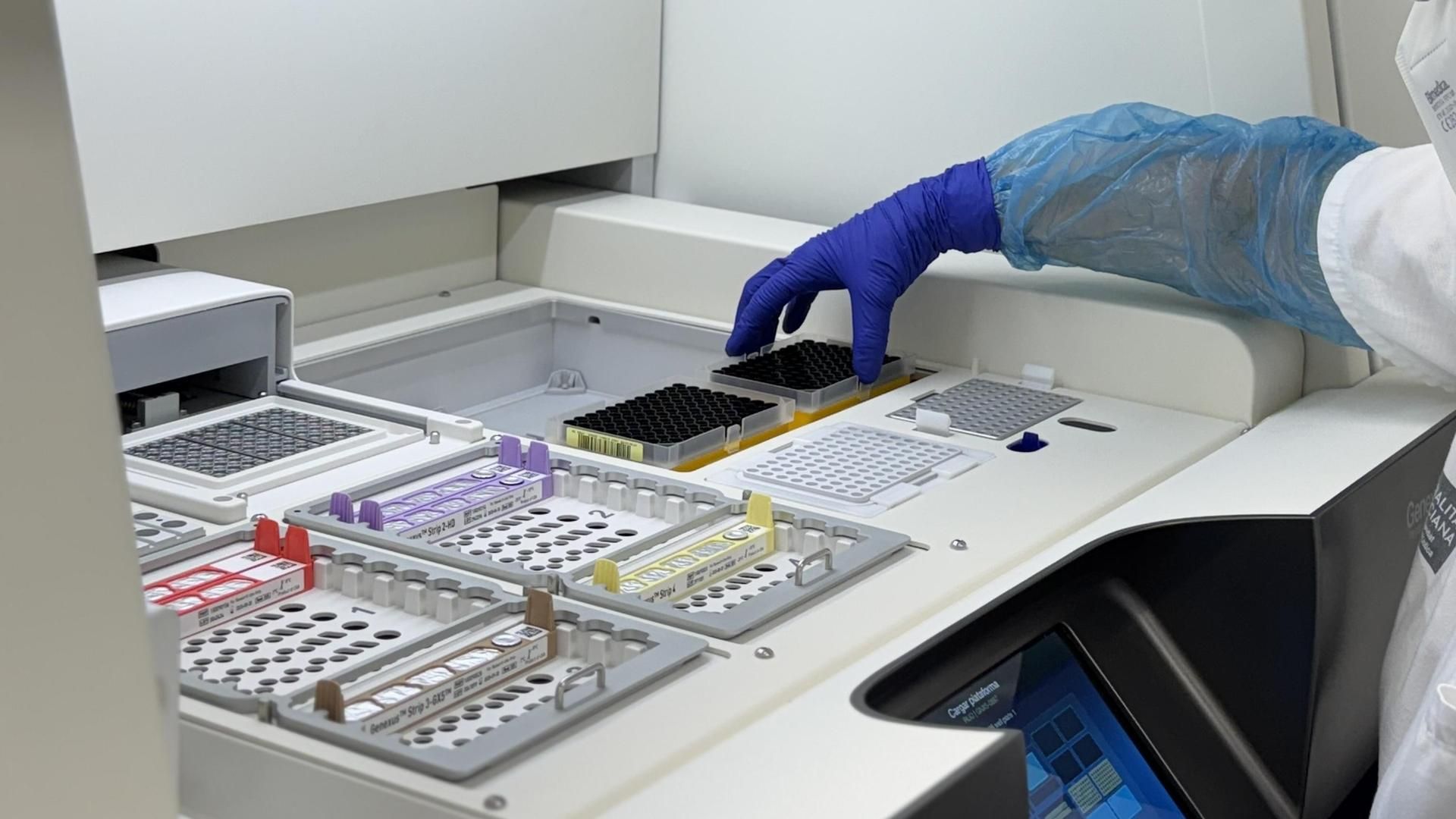 Un equipo de investigadores descifran el origen del cáncer: "Nos gusta llamarlo como la caja negra"