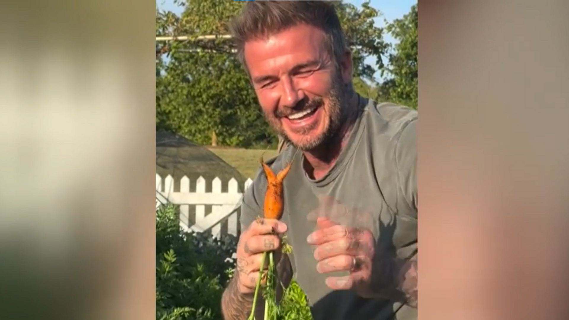 David Beckham en su huerto