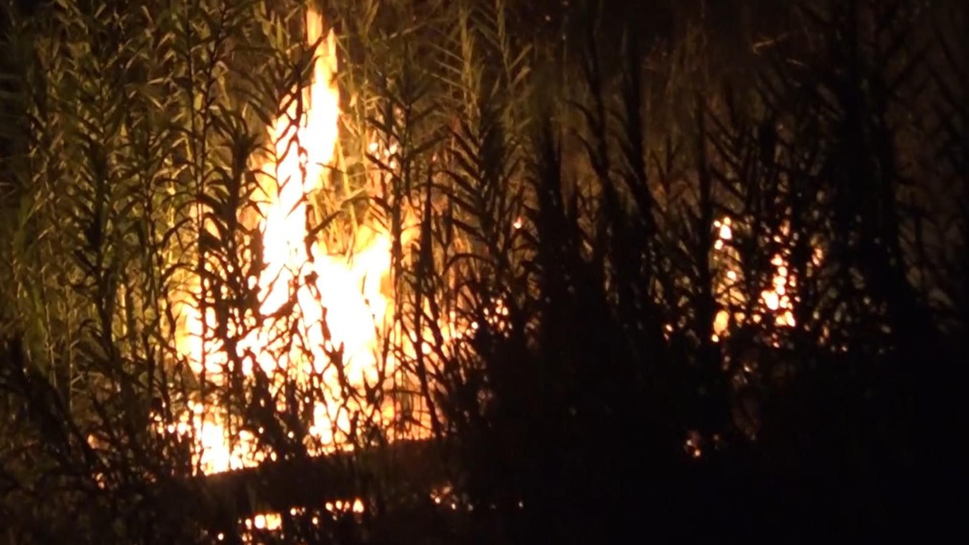 El incendio forestal en Buñol que obligó al desalojo de viviendas sigue activo
